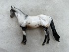 Peter Stone Ideal Stock Horse    misty    Ohio Top Hands Appaloosa Glossy Signed Sr
