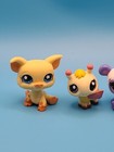 Lps Littlest Pet Shop Lot Of 5 