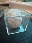 Natural Sea Urchin Test Specimen In Acrylic Display Cube Beach Curio