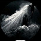 Photo Art Ai 3by3 Print 221