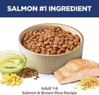 Hill s Science Diet Adult 1-6  Adult 1-6 Premium Nutrition  Dry Dog Food  Salmon
