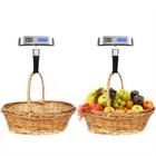 Portable Travel 110lb   50kg Lcd Digital Hanging Luggage Scale Electronic Weight