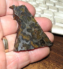 53 Gm Sericho Pallasite Meteorite Slice From Kenya Stand Olivine