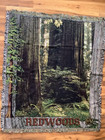 The Redwoods Of California 66    X 53     Afghan Tapestry Throw Blanket New Rare