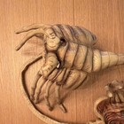 Aliens Face Hugger Masks Set Of 2 - Romulus Promo 