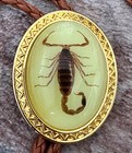 Vintage Scorpion Bolo Tie Western Cowboy Tie Braided Leather Cord Gold Tone Usa