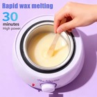 Dutrieux Wax Warmer Heater Machine Wax-100 Paraffin Bean Hair Removal