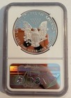 2019 S Proof Silver Eagle Ultra Cameo Ngc