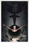 The Black Swan - Original Movie Poster - 13x19 Mini Read Free Ship - 2025 Re