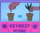 3  Net Cup Pots 2  6   25   50   100  For Hydroponic Grow Box Systems Quick Ship
