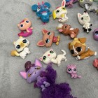 Littlest Pet Shop Lot W  Misc Cloudees   Little Live Pets 25 Piece