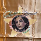 Cher Promo Silk Pillowcase Casablanca Stars Golden Copper Color Mr  Satin Inc