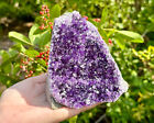 Stunning Very Large Amethyst Cut Base Cluster Crystal Quartz Geode 1 1 - 1 8 Lb