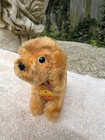 Vintage 1960s Steiff Revue Susi Both Tags Cocker Spaniel Dog 4300 12 Austria