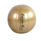 Tetherball Set With Glowinthedark Ball  Rope  Carabiner  And Pump