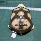 Cloud B Twilight Turtle Nightlight Star Projector Plush Amber Blue Green Tested