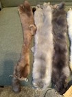 Lot Of 5 Rare Mink  Fresh Tanned Hide Super Soft Pelt Furs