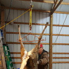 Game Hoist Gambrel With 700lb Capacity Deer Hanger And Elk Dual Pulley Hoist Lif