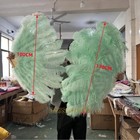 2pcs Farm Ostrich Hand Feather Fans For Dancer Show Party Plumes Hand Fans