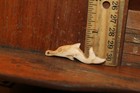 Carved Domesticated Bovine Cow Pendant Talisman Inuit
