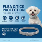 Flea   Tick Collar For Small Dogs Under 20lbs  Treat   Prevent  Vet-recommended