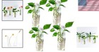Durable Short Cylindrical Wall Vases For Beautiful Indoor Plant Displays