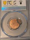 Us Mint Error 1998 Double Struck  Pcgs Unc Details  Second Strike 90  Off Center