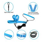 Adjustable Bird Harness Elastic With 80-inch Flying Leash  Blue