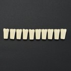 Columbia 860 Dental Typodont Teeth Replacement Individual 10pcs lot