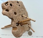 Holey Beach Rock Hag Stone Adder Fairy Natural 14 Large Holes Yard Art Aquarium
