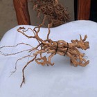 Us Natural Driftwood Aquarium Root Trunk Tree Fish Tank Landscape Plant Roots