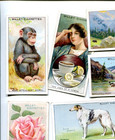 101 W  D    H  O  Wills Mix Different Tobacco Card Lot