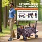 Wagon Stroller Push Pull Quad Collapsible For 2 Kids W  Canopy Dark Purple