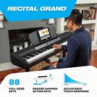 Alesis Recital Grand - Digital Piano 88 Weighted Keys With Hammer Action  Sus   