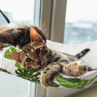 2pc Reversible Cat Dog Hammock - Soft  Breathable Pet Cage Bed W adjustable Stra