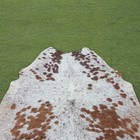 Hair On Cowhide Rug Real Cow Leather Skin Floor Carpet Natural Rug 69x61  Cc1304