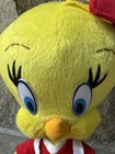 Looney Tunes  Tweety Bird Red Graduate With Diploma Plush Stuffed Toy Rare 11 