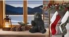 Black Bear Raising Middle Finger Figurine Holiday Stocking Stuffer Bull   Bear