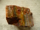 Arizona Rainbow Petrified Wood Natural State Premium Piece  Display Or Cabbing