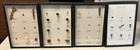 4x Educational Insect Specimen Glass Display Cases  Central Scientific  Riker