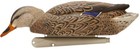 Avian X Topflight Fusion Mallards Decoy  Avx-avx8076 Hunting - Decoys