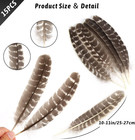 15pcs Natural Turkey Feather  10-11 Inches Wild Turkey Feathers For Craft Costum