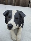 Sandicast 389 Border Collie Dog Figure Figurine Statue 10    1992 Large Usa