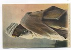 Morocco Agencies Postcard To Czechoslovakia 1933