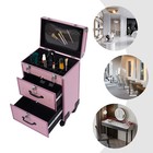 Professional Rolling Makeup Trolley Train Case Box Organizer Salon Cosmetic