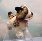 Vintage Steiff Bull Dog With Chest Tag   Mohair