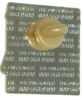 Outback Steakhouse Restaurant State Of Oregon Lapel Pin