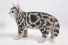 American Shorthair Standing Cat Decor Garden Statue Garden Decoration Home Decor