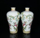 A Pair Chinese Pastel Porcelain Handpainted Exquisite Vase