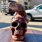 Gothic Dragon Skull Statue Figurine Dark Fantasy Home Decor Ornament  3 Lb